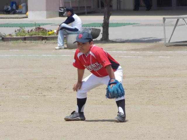 �`�[���ʐ^