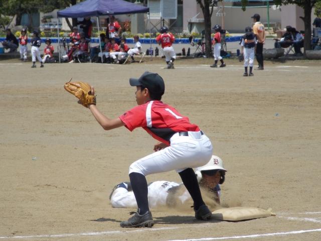 �`�[���ʐ^