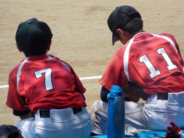 �`�[���ʐ^