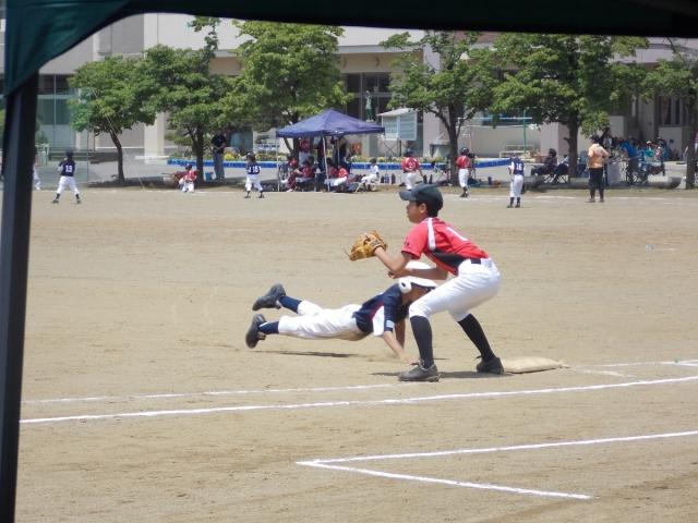 �`�[���ʐ^