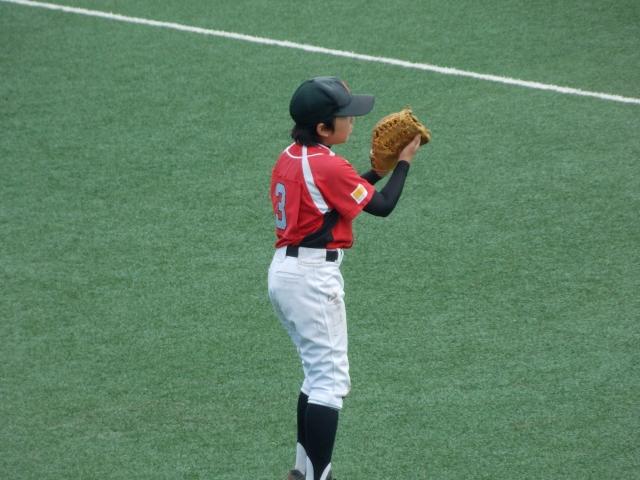 �`�[���ʐ^