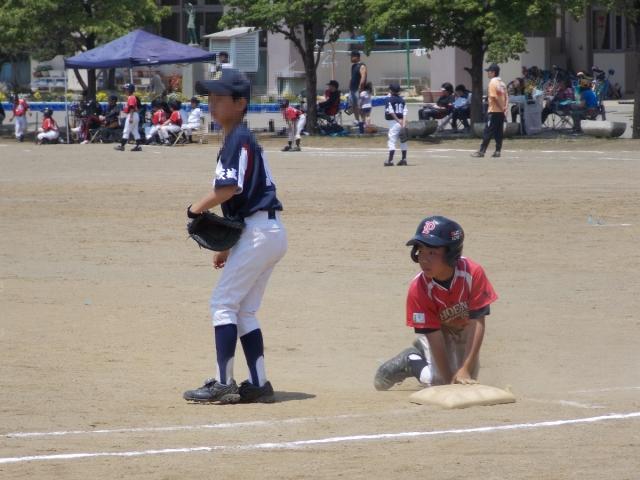 �`�[���ʐ^