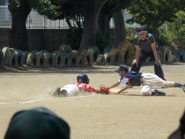 �`�[���ʐ^