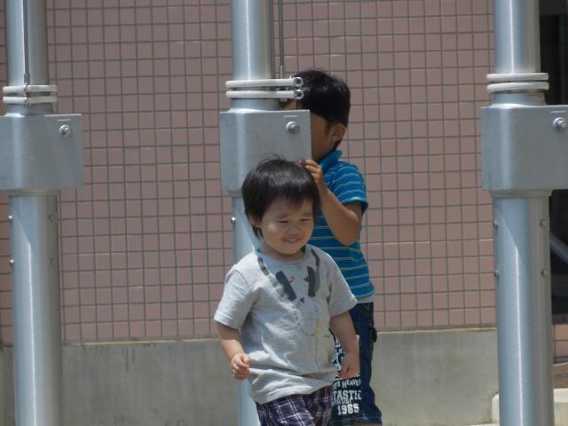 �`�[���ʐ^