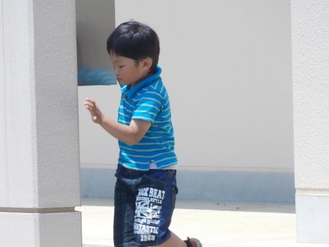 �`�[���ʐ^