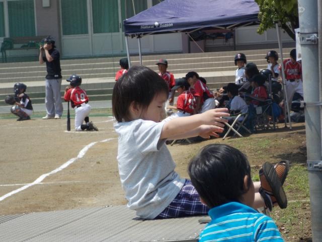 �`�[���ʐ^