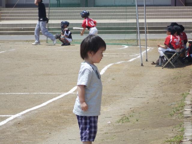 �`�[���ʐ^