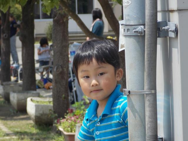 �`�[���ʐ^