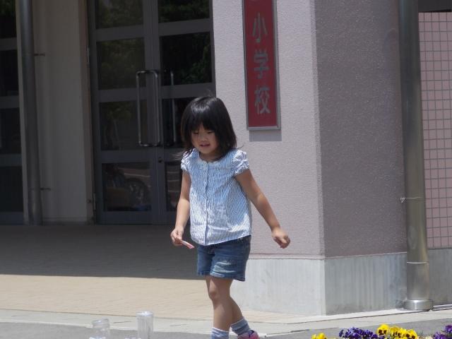 �`�[���ʐ^