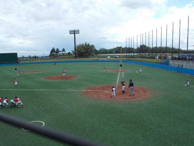 �`�[���ʐ^