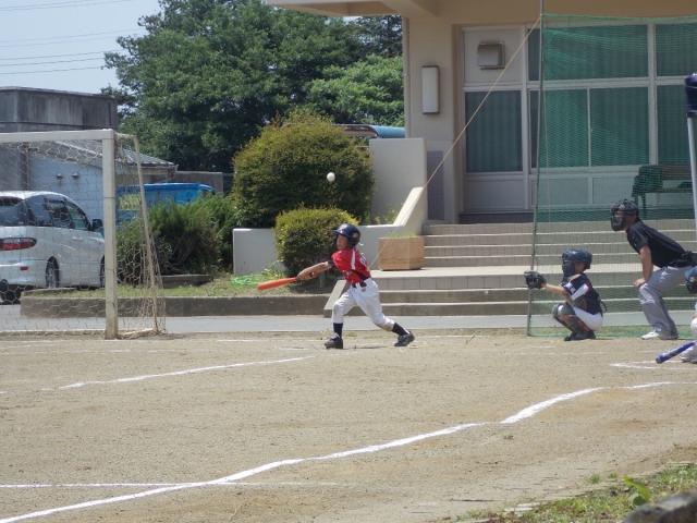 �`�[���ʐ^