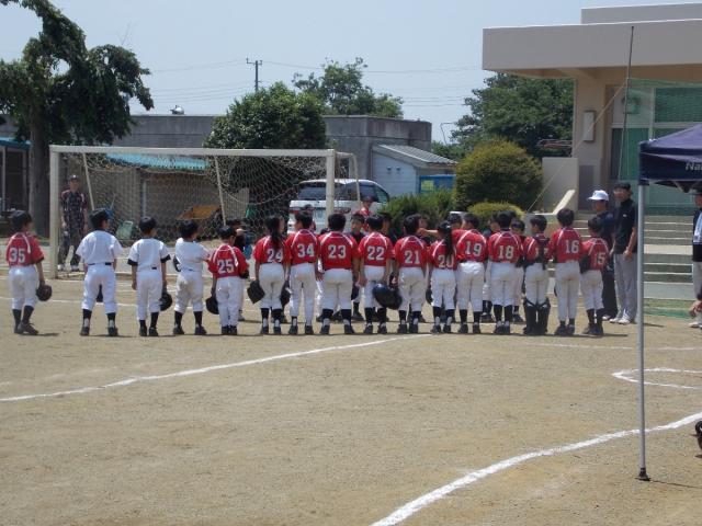 �`�[���ʐ^