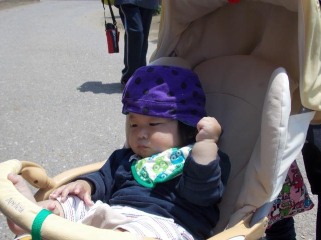 �`�[���ʐ^