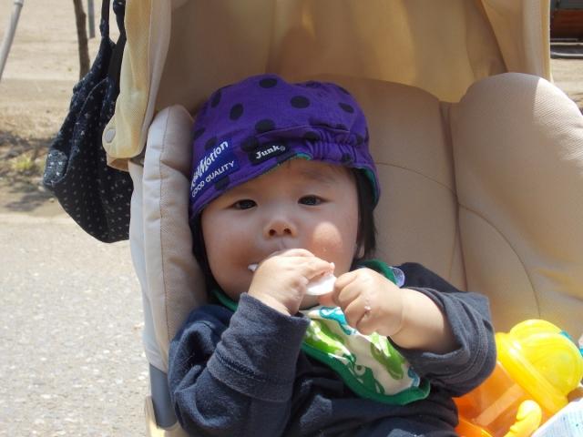 �`�[���ʐ^