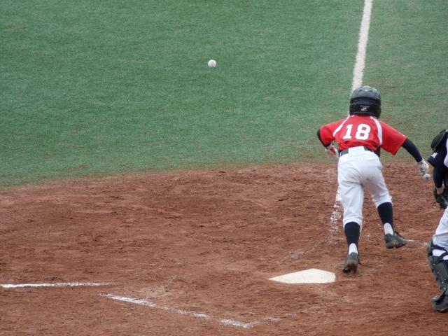 �`�[���ʐ^