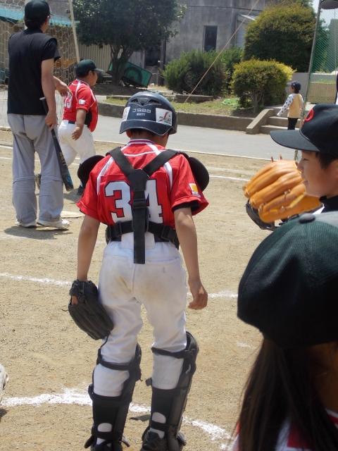 �`�[���ʐ^