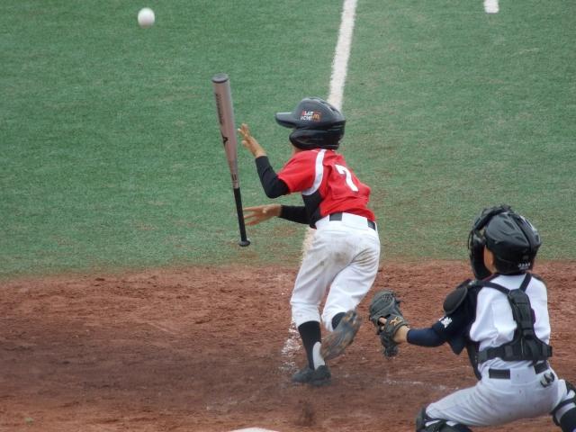 �`�[���ʐ^