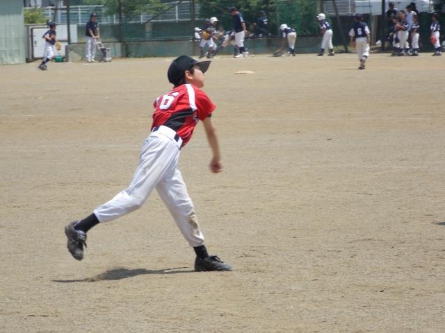 �`�[���ʐ^