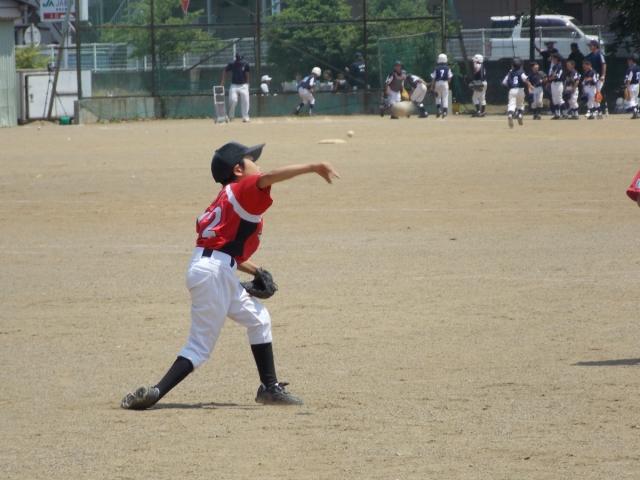 �`�[���ʐ^