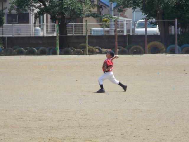 �`�[���ʐ^