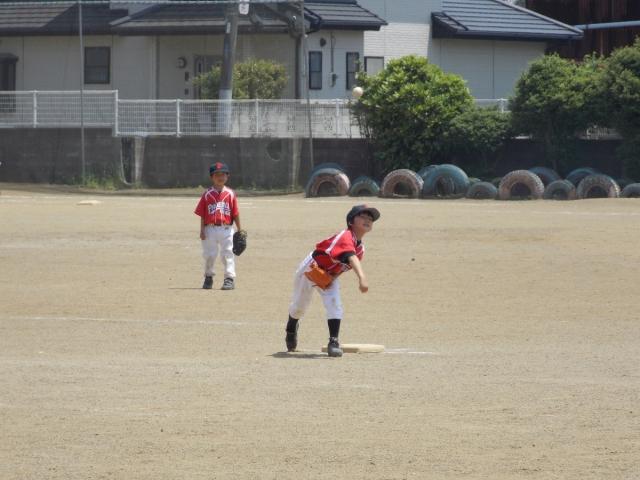 �`�[���ʐ^