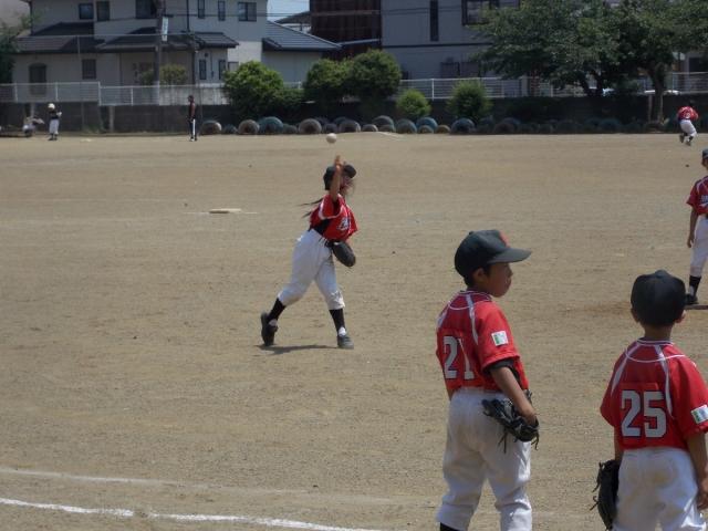 �`�[���ʐ^