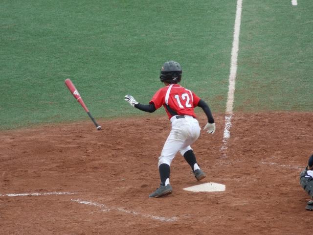 �`�[���ʐ^