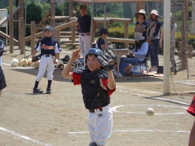 �`�[���ʐ^