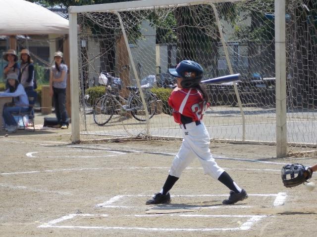 �`�[���ʐ^