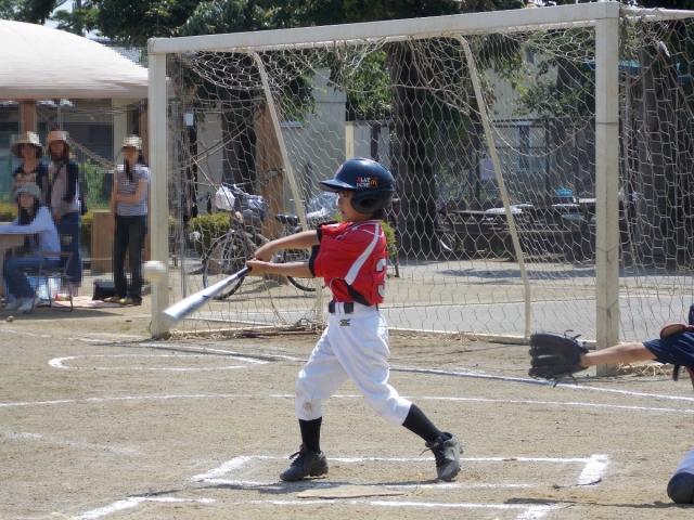 �`�[���ʐ^