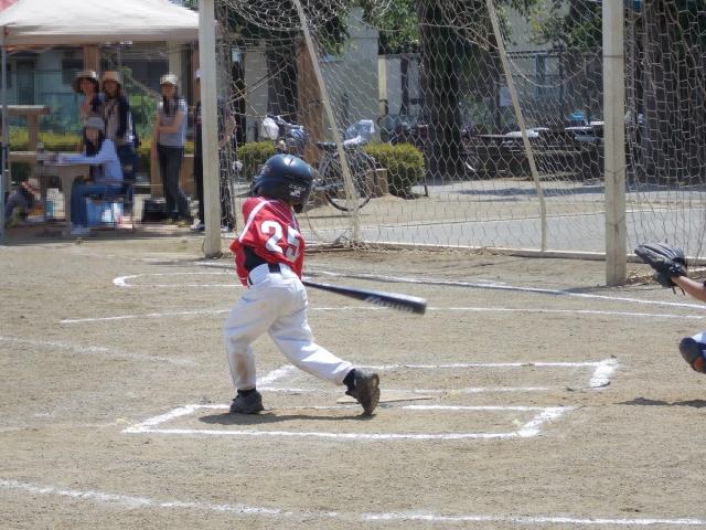 �`�[���ʐ^