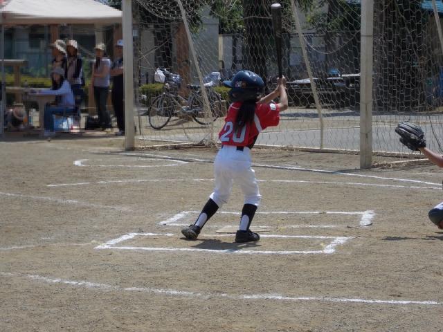 �`�[���ʐ^