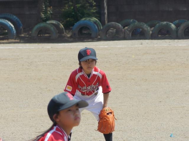 �`�[���ʐ^