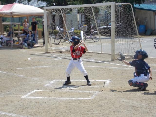 �`�[���ʐ^