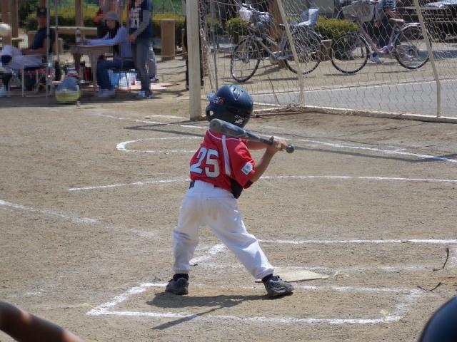 �`�[���ʐ^