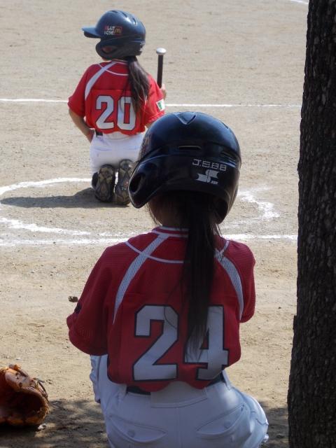 �`�[���ʐ^