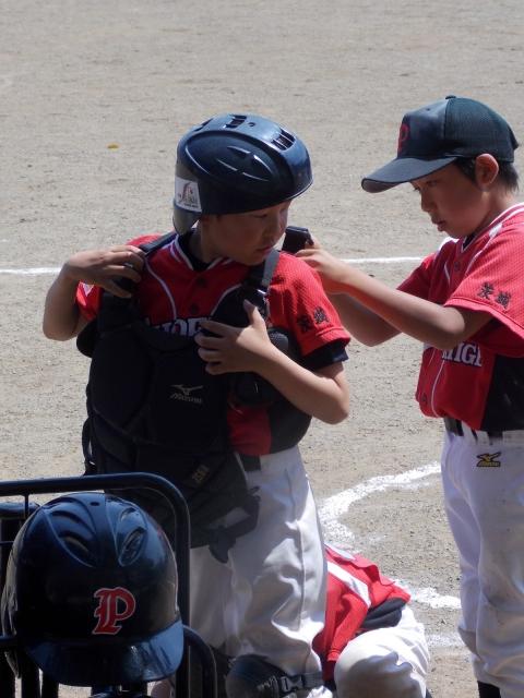 �`�[���ʐ^