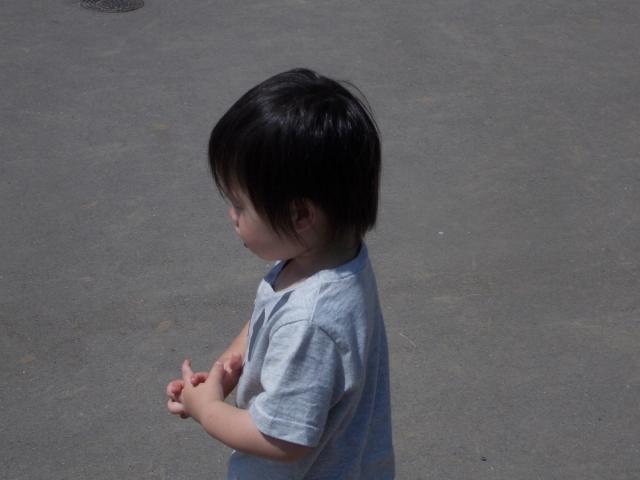 �`�[���ʐ^