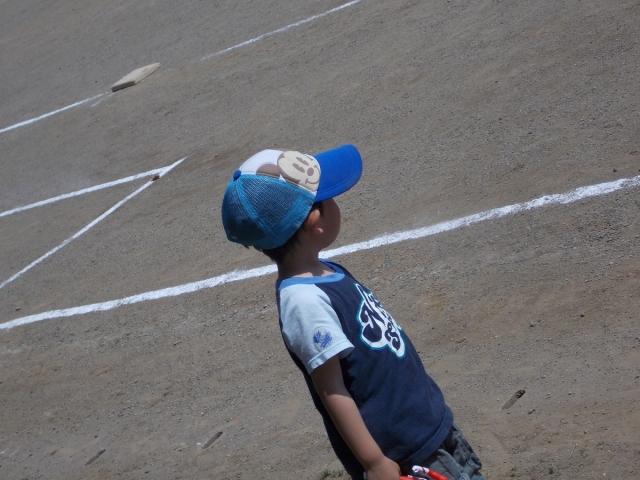 �`�[���ʐ^