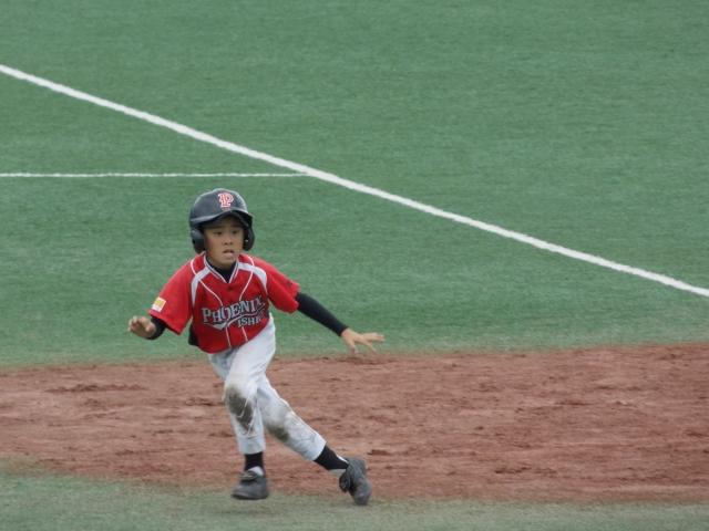 �`�[���ʐ^