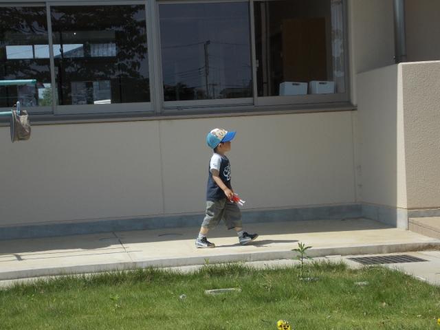 �`�[���ʐ^