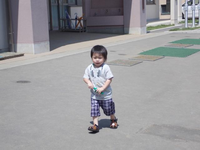 �`�[���ʐ^