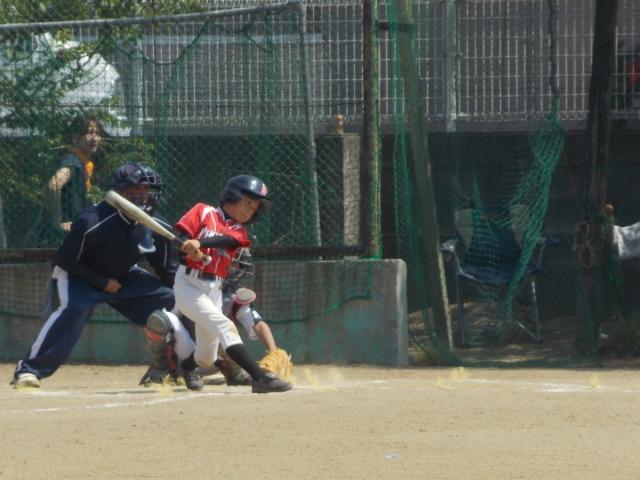 �`�[���ʐ^