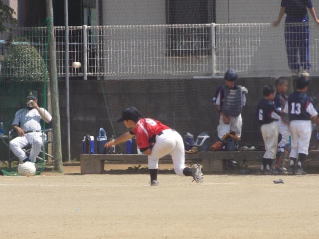 �`�[���ʐ^