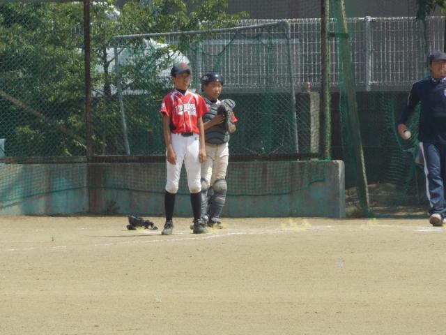 �`�[���ʐ^