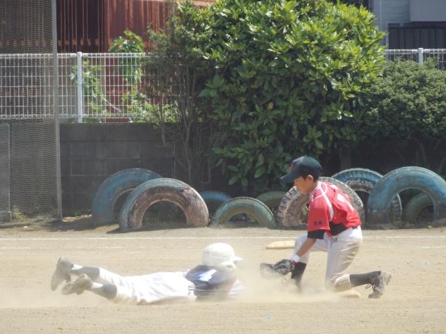 �`�[���ʐ^