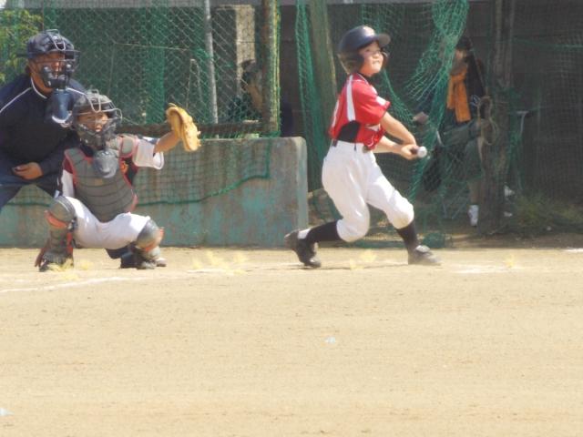 �`�[���ʐ^