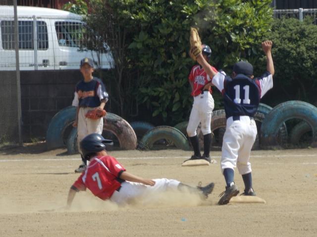 �`�[���ʐ^