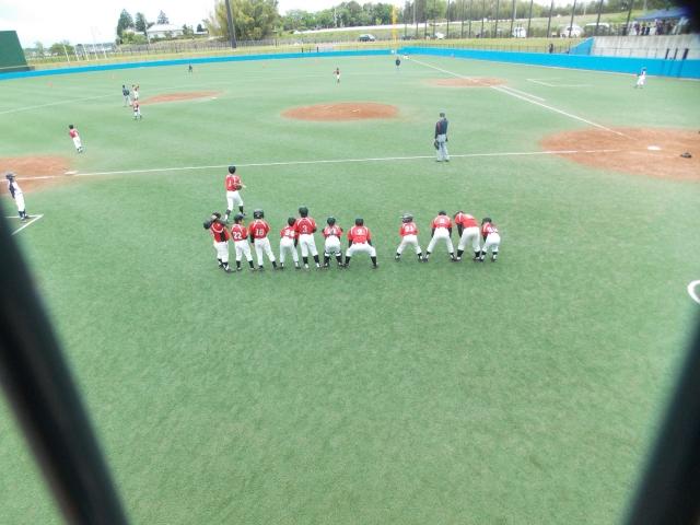 �`�[���ʐ^