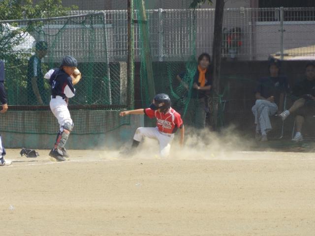 �`�[���ʐ^